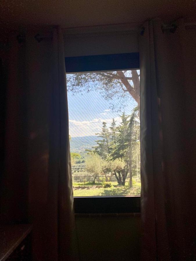Locazione Turistica Ex Le Casette Di Cedromonte Panicale Εξωτερικό φωτογραφία